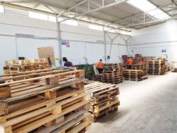 gf pallets gioia del colle puglia