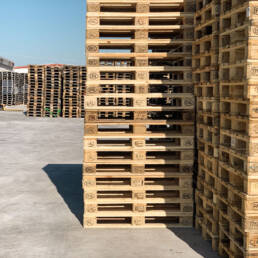 gf pallets gioia del colle puglia