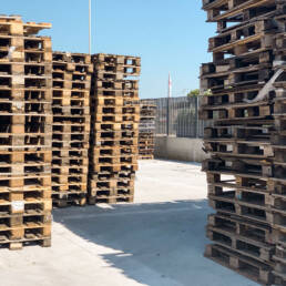 gf pallets gioia del colle puglia